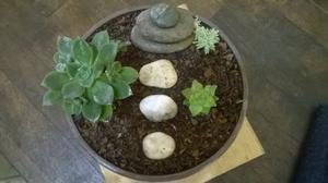 Decoracion Con Mini Jardines. Kokedamas Y Suculentas