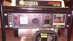 Oferta Generardor Forest Y Garden Gm 5000 A Gasolina