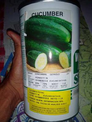 Semilla De Pepino Cucumber. 100gr Y 500gr