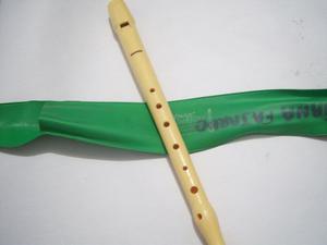 Flauta Dulce-hohner (excelentes Condiciones) Made In German