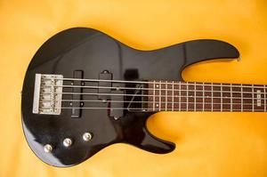 Bajo Ltd B-55 Esp 5cuerdas