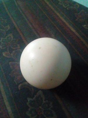 Bola Blanca De Pool