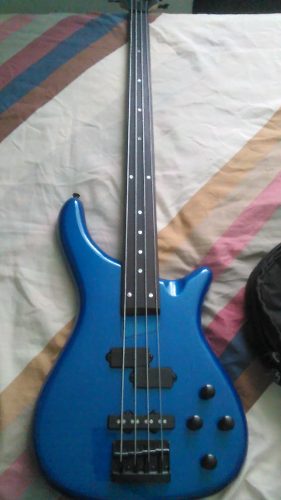 Bajo Roque Serie Iii Fretless