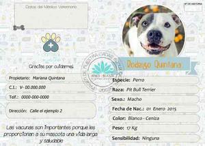Tarjeta De Vacunación Para Mascotas Perros Gatos
