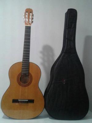 Guitarra Acustica Hohner Con Su Forro