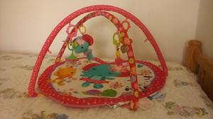 Baby Gym Fisher Price Negociable