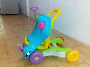 Carrito Andadera Fisher Price Usados