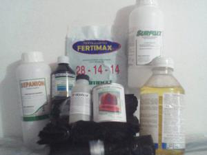 Kit De Siembra Completo Lechoza Roja Maradol