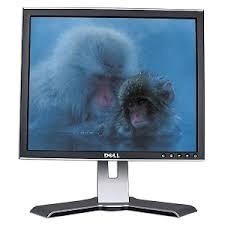 Monitor 17 Lcd Dell