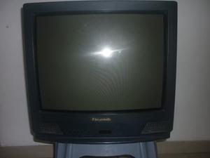 Televisor Panasonic 21 Pulgadas Usado