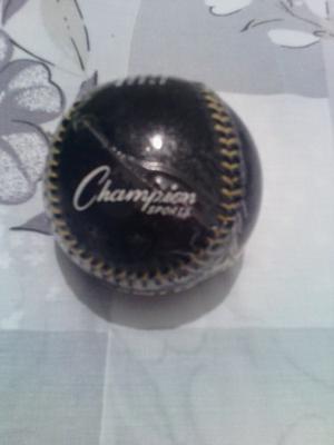 Pelota De Entrenamiento De Beisbol Para Braso Pesa De 12oz