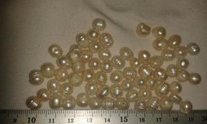 Perlas Cultivadas Por Docena Diferentes Colores