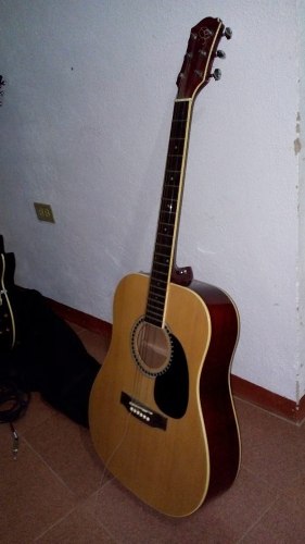 Guitarra Acústica Palmer (folk)