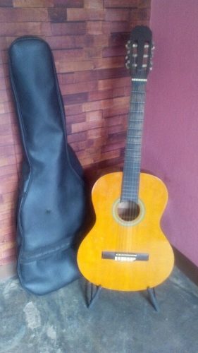Guitarra Acustica 19traste+forro+paral