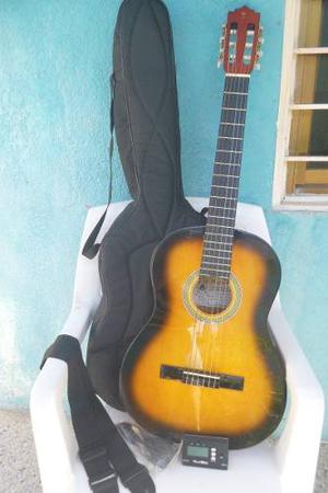 Guitarra Electroacústica Palmer 39 Cg100 Nueva