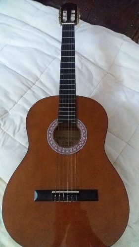 Guitarra Profesional Lucida Con Su Estuche