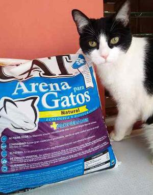 Arena Para Gatos Leon's Cat De 7 Kg (lecho Sanitario)