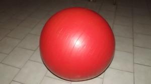Balon Suizo/pelota Para Yoga/ Balon Para Hacer Ejercicio