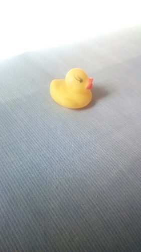 Patito De Hule