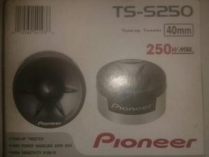 Tweeters Pioneer Ts-s250. Nuevos Y 100% Originales. Oferta