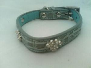 Collar Para Perro Pequeño