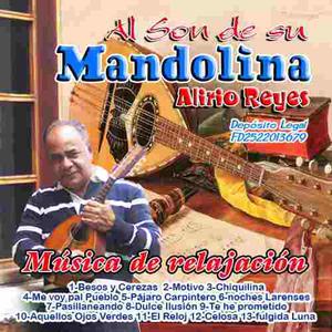 Clases Particulares Mandolina Y Violin