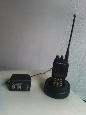 Venta Radio Y Cargador Motorola Usados.