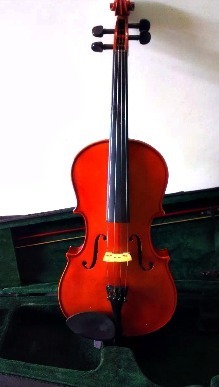 Viola 4/4 Profesional Maxtone De Excelente Calidad