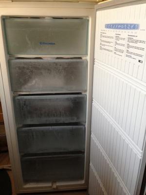 Congelador Refrigerador Vertical Electrolux