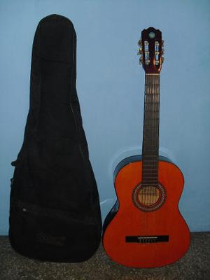 Guitarra Acústica D´ Andre