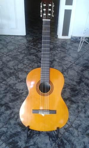 Guitarra Acustica C40