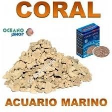 Trozos De Coral Para Filtracion El Precio Es Por 1 Kilo