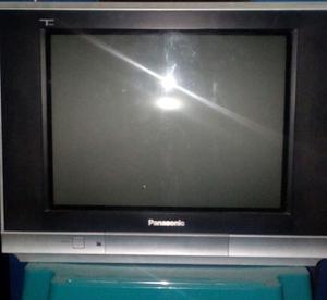 Televisor 21 Pulgadas Panasonic Con Control Remoto