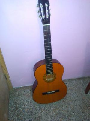 Guitarra Acústica J. Reynolds