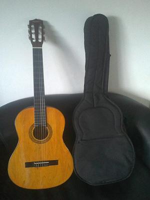 Guitarra Acústica Peavey