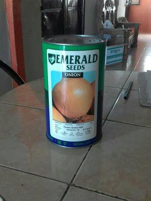 Semilla Emerald Seeds Onion Cebolla 502