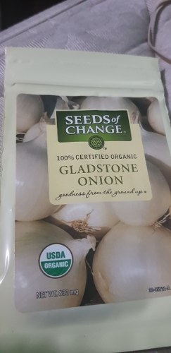 Semillas De Cebolla Gladstone Sobres De 350 Semillas