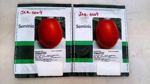 Tomate Híbrido Dominator Seminis 5 Mil Semillas
