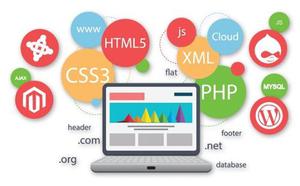 Programador Web Html, Css, Php, Wordpress, Java Script