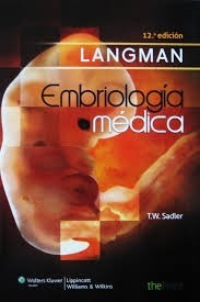 Langman Embriologia Medica Ultima Edicion Pdf