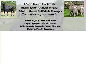 Curso De Inseminacion Artificial En Ovinos Y Caprinos