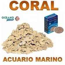 Trozos De Coral Para Filtracion En Acuarios