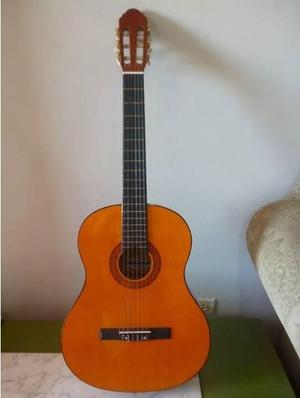 Guitarra Acustica Paganine