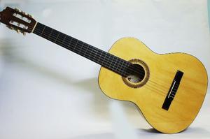 Guitarra Acustica Palmer