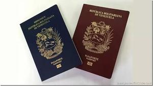 Pago Pasaporte