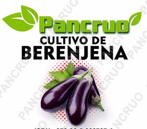 Manual Aprende El Cultivo De Berenjena + Regalo