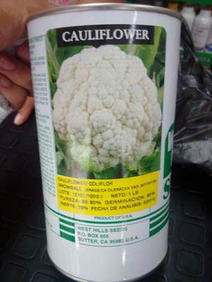 Semilla Cauliflower. Snowball