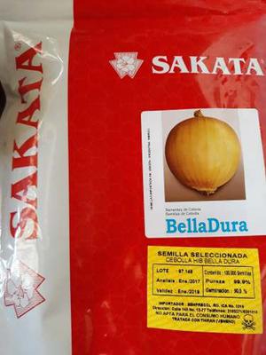 Semillas De Cebolla (Bella Dura) Sakata