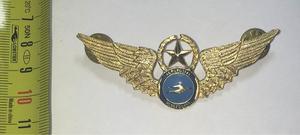 Insignia Alas Aviación Capitán Aeropostal