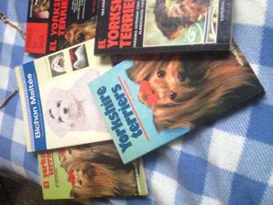 Libros El Yorshire Terrier Y Algo Mas